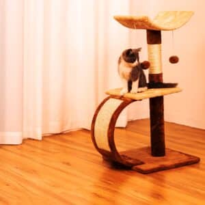 מתקן גירוד לחתולים קומפקטי עם קשת גירוד – גובה 77 ס"מ