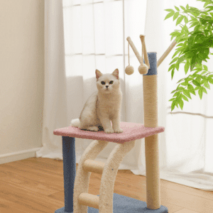 מתקן טיפוס לחתולים עם סולם